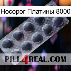 Носорог Платины 8000 30